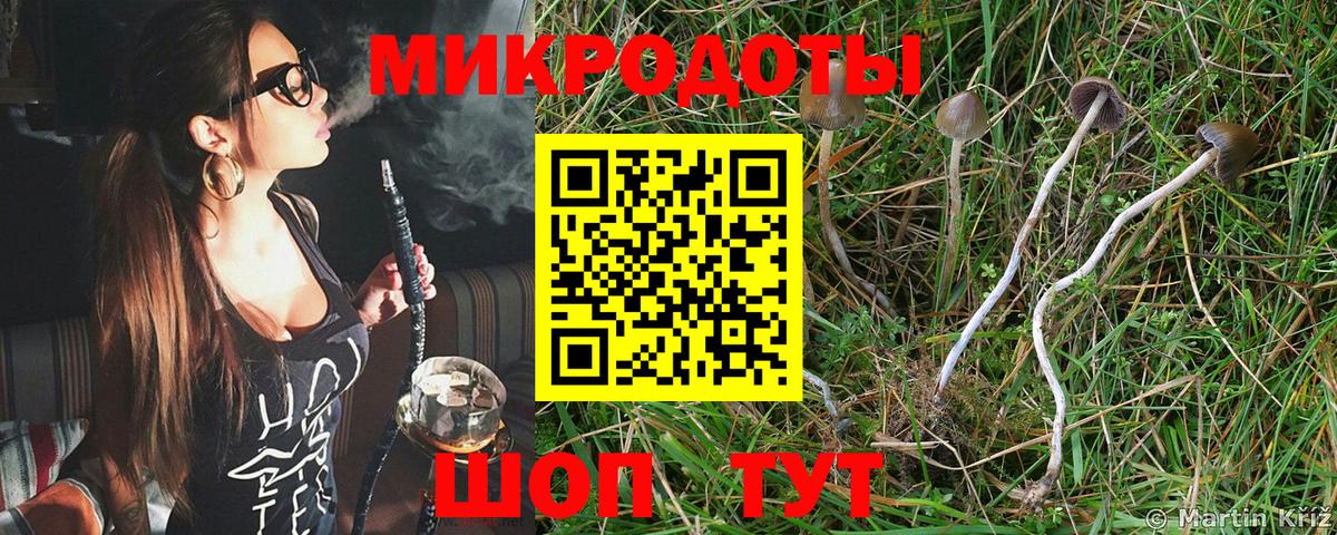 купить наркоту  Псилоцибиновые грибы Psilocybe  Галлюциногенные грибы Psilocybe  Вход с VPN  Куйбышев 