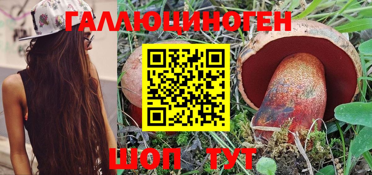Псилоцибиновые грибы MAGIC MUSHROOMS Куйбышев